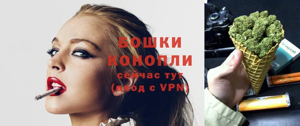 сатива Вяземский