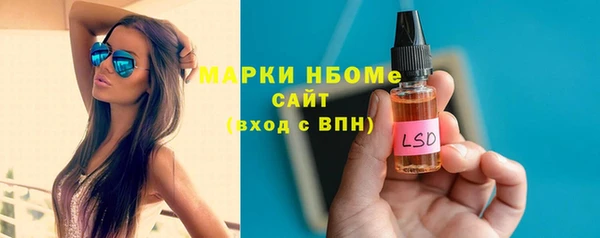 сатива Вяземский