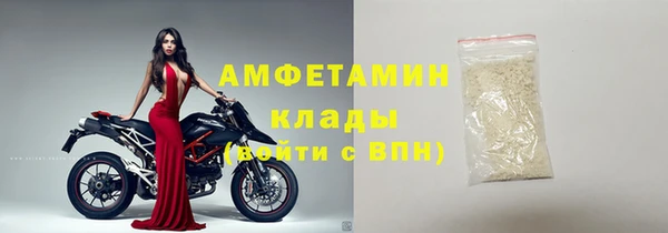 сатива Вяземский