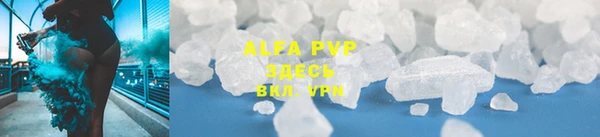 сатива Вяземский