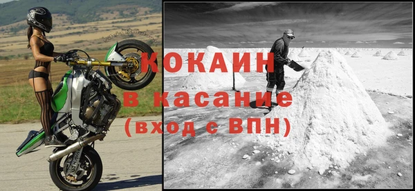 сатива Вяземский