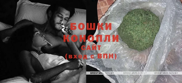 сатива Вяземский