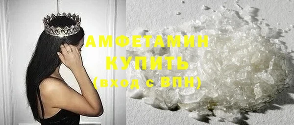 сатива Вяземский